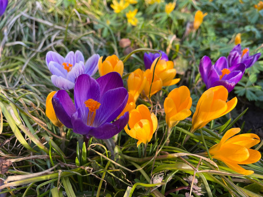 01.04.2026 - 10.04.2026 - Osterferien im Institut