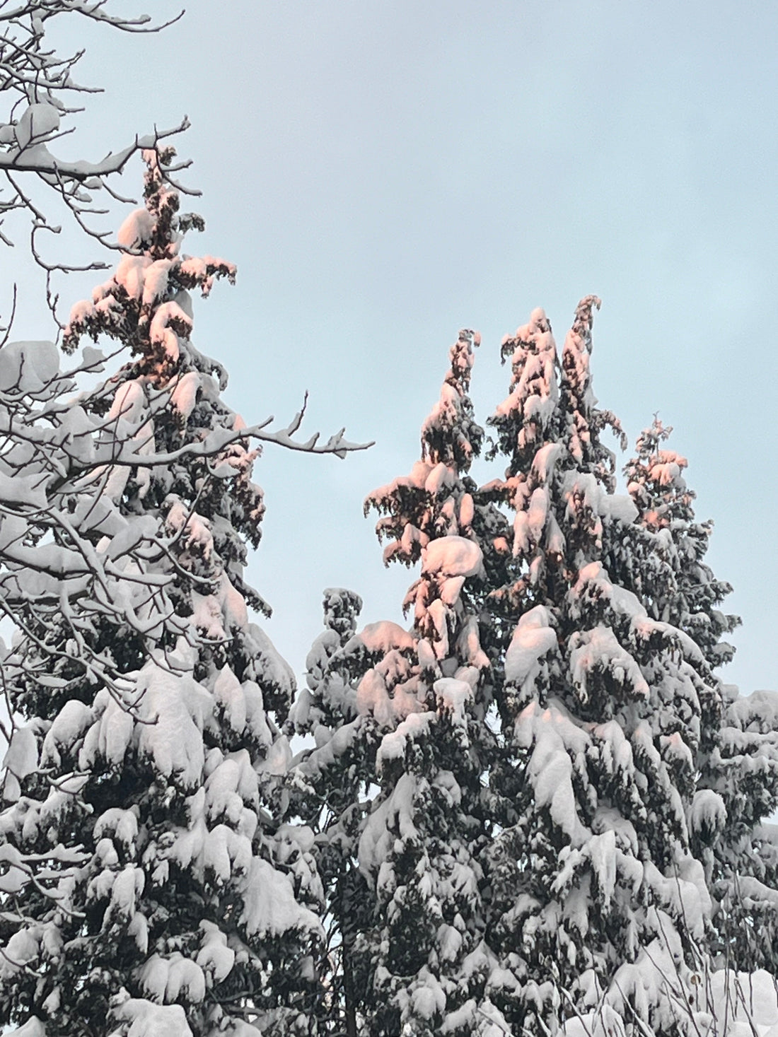 Weihnachtspause vom 22.12.2025 bis 06.01.2026